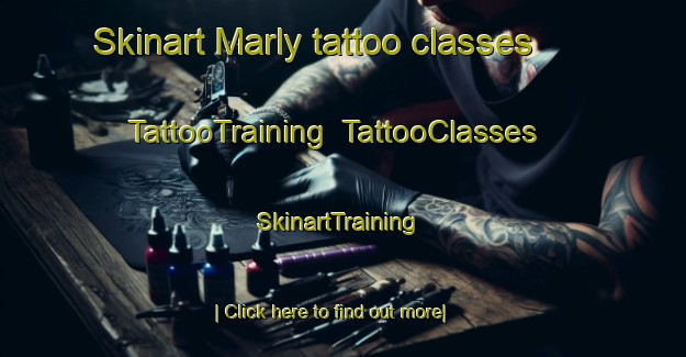 Skinart Marly tattoo classes | TattooTraining | TattooClasses | SkinartTraining-France
