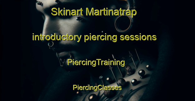 Skinart Martinatrap introductory piercing sessions | #PiercingTraining #PiercingClasses #SkinartTraining-France