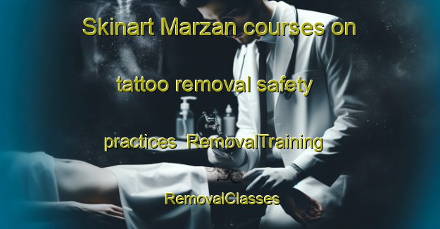 Skinart Marzan courses on tattoo removal safety practices | RemovalTraining | RemovalClasses | SkinartTraining-France