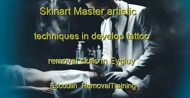 Skinart Master artistic techniques in develop tattoo removal skills in Eygluy Escoulin | RemovalTraining | RemovalClasses | SkinartTraining-France