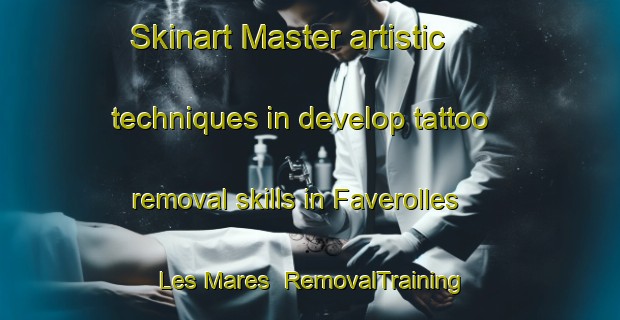 Skinart Master artistic techniques in develop tattoo removal skills in Faverolles Les Mares | RemovalTraining | RemovalClasses | SkinartTraining-France
