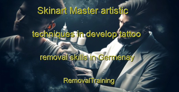 Skinart Master artistic techniques in develop tattoo removal skills in Germenay | RemovalTraining | RemovalClasses | SkinartTraining-France