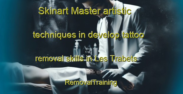 Skinart Master artistic techniques in develop tattoo removal skills in Les Trabets | RemovalTraining | RemovalClasses | SkinartTraining-France