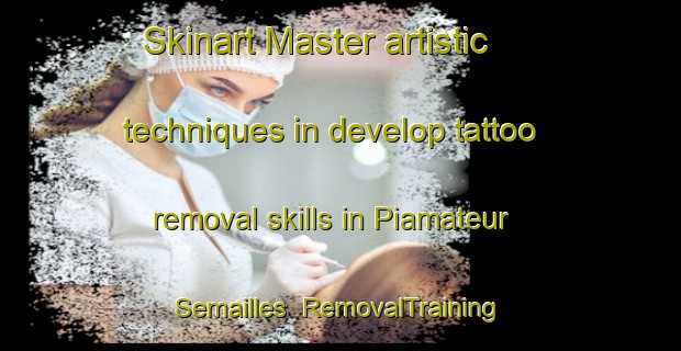Skinart Master artistic techniques in develop tattoo removal skills in Piamateur Semailles | RemovalTraining | RemovalClasses | SkinartTraining-France
