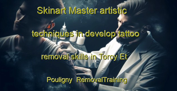 Skinart Master artistic techniques in develop tattoo removal skills in Torcy Et Pouligny | RemovalTraining | RemovalClasses | SkinartTraining-France