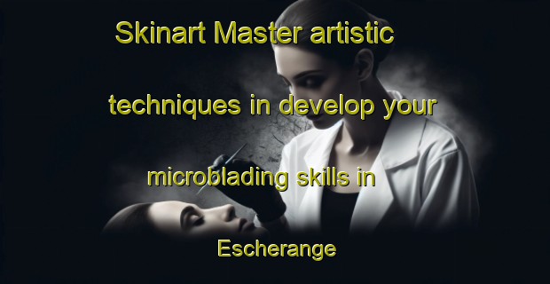 Skinart Master artistic techniques in develop your microblading skills in Escherange | MicrobladingTraining | MicrobladingClasses | SkinartTraining-France