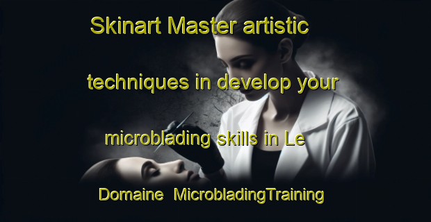 Skinart Master artistic techniques in develop your microblading skills in Le Domaine | MicrobladingTraining | MicrobladingClasses | SkinartTraining-France