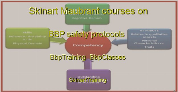 Skinart Maubrant courses on BBP safety protocols | BbpTraining | BbpClasses | SkinartTraining-France