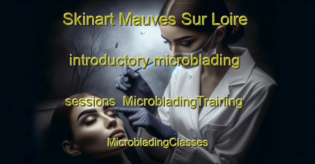 Skinart Mauves Sur Loire introductory microblading sessions | #MicrobladingTraining #MicrobladingClasses #SkinartTraining-France