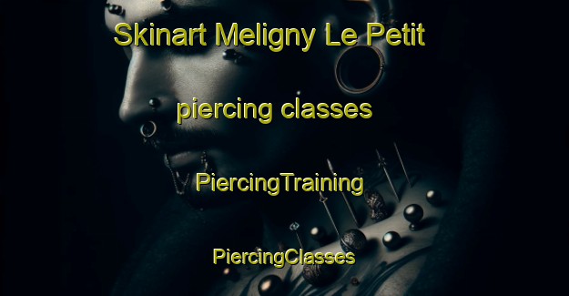 Skinart Meligny Le Petit piercing classes | #PiercingTraining #PiercingClasses #SkinartTraining-France