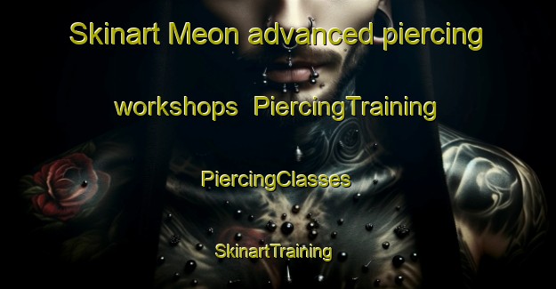 Skinart Meon advanced piercing workshops | #PiercingTraining #PiercingClasses #SkinartTraining-France