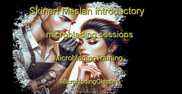 Skinart Meslan introductory microblading sessions | MicrobladingTraining | MicrobladingClasses | SkinartTraining-France