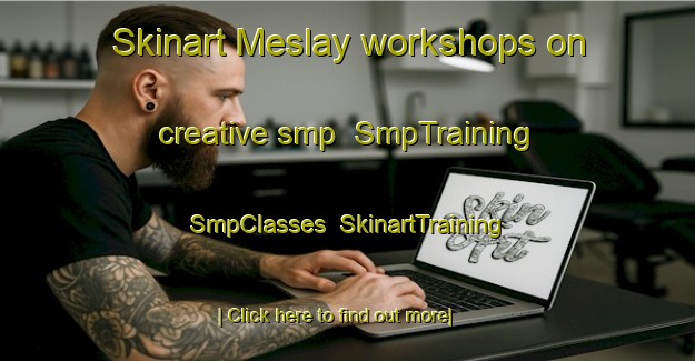 Skinart Meslay workshops on creative smp | SmpTraining | SmpClasses | SkinartTraining-France