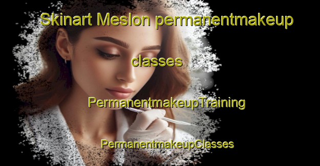 Skinart Meslon permanentmakeup classes | #PermanentmakeupTraining #PermanentmakeupClasses #SkinartTraining-France