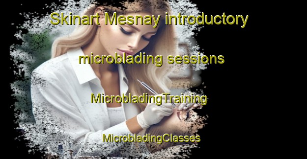 Skinart Mesnay introductory microblading sessions | MicrobladingTraining | MicrobladingClasses | SkinartTraining-France