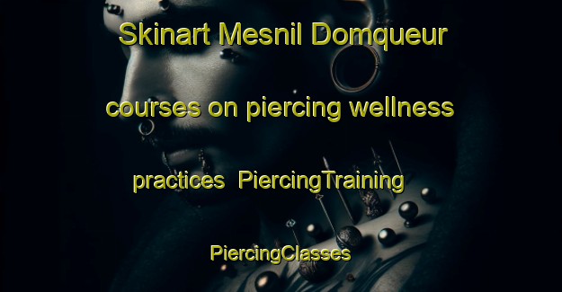 Skinart Mesnil Domqueur courses on piercing wellness practices | #PiercingTraining #PiercingClasses #SkinartTraining-France