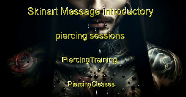 Skinart Message introductory piercing sessions | PiercingTraining | PiercingClasses | SkinartTraining-France