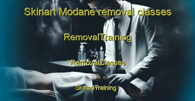 Skinart Modane removal classes | RemovalTraining | RemovalClasses | SkinartTraining-France