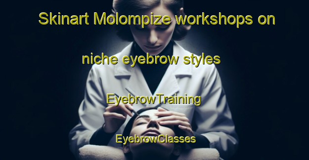 Skinart Molompize workshops on niche eyebrow styles | EyebrowTraining | EyebrowClasses | SkinartTraining-France