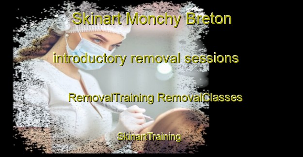 Skinart Monchy Breton introductory removal sessions | #RemovalTraining #RemovalClasses #SkinartTraining-France