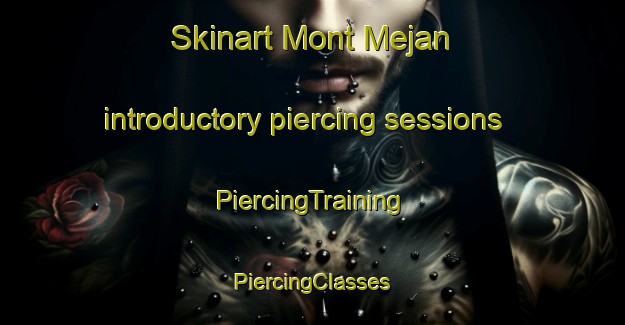 Skinart Mont Mejan introductory piercing sessions | #PiercingTraining #PiercingClasses #SkinartTraining-France