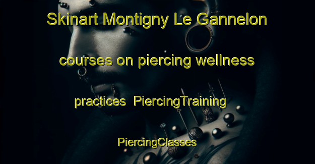 Skinart Montigny Le Gannelon courses on piercing wellness practices | #PiercingTraining #PiercingClasses #SkinartTraining-France