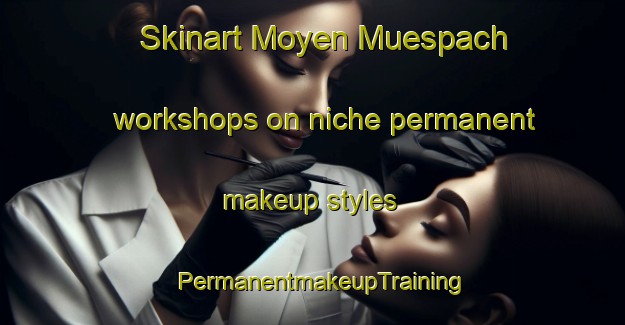 Skinart Moyen Muespach workshops on niche permanent makeup styles | PermanentmakeupTraining | PermanentmakeupClasses | SkinartTraining-France