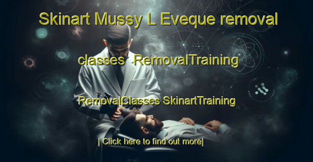 Skinart Mussy L Eveque removal classes | #RemovalTraining #RemovalClasses #SkinartTraining-France