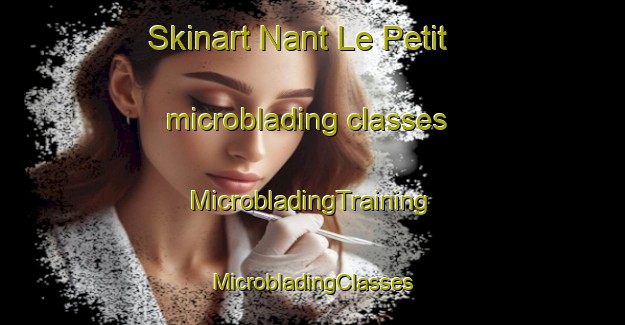 Skinart Nant Le Petit microblading classes | #MicrobladingTraining #MicrobladingClasses #SkinartTraining-France