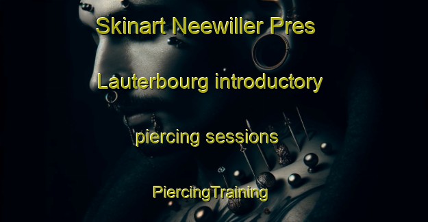 Skinart Neewiller Pres Lauterbourg introductory piercing sessions | #PiercingTraining #PiercingClasses #SkinartTraining-France