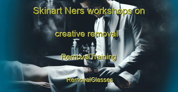 Skinart Ners workshops on creative removal | RemovalTraining | RemovalClasses | SkinartTraining-France
