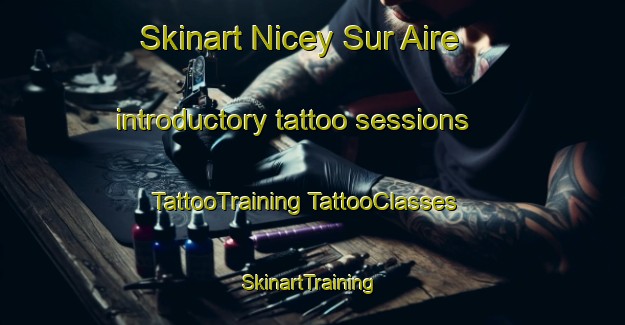 Skinart Nicey Sur Aire introductory tattoo sessions | #TattooTraining #TattooClasses #SkinartTraining-France