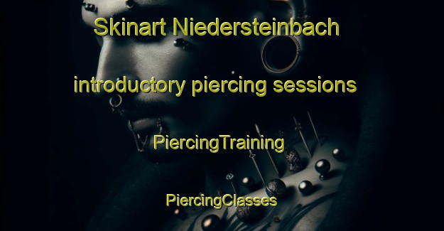 Skinart Niedersteinbach introductory piercing sessions | #PiercingTraining #PiercingClasses #SkinartTraining-France