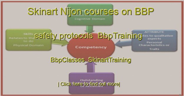 Skinart Nijon courses on BBP safety protocols | BbpTraining | BbpClasses | SkinartTraining-France