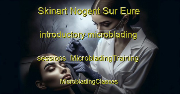 Skinart Nogent Sur Eure introductory microblading sessions | MicrobladingTraining | MicrobladingClasses | SkinartTraining-France