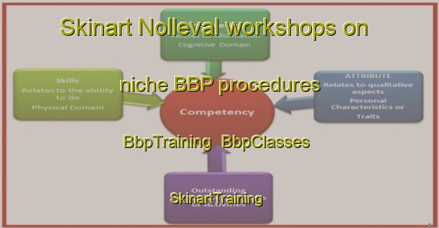 Skinart Nolleval workshops on niche BBP procedures | BbpTraining | BbpClasses | SkinartTraining-France