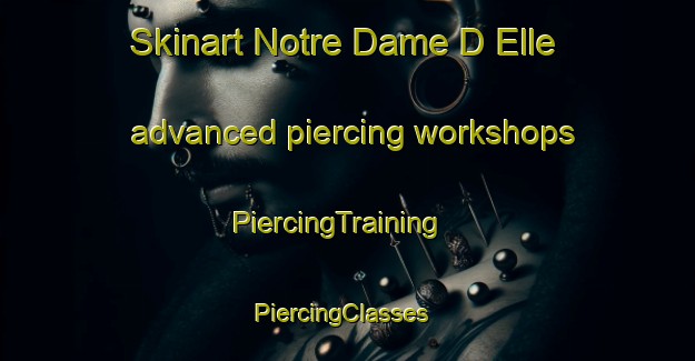 Skinart Notre Dame D Elle advanced piercing workshops | PiercingTraining | PiercingClasses | SkinartTraining-France