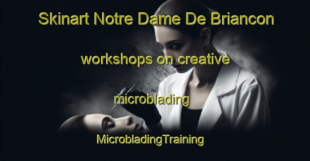 Skinart Notre Dame De Briancon workshops on creative microblading | MicrobladingTraining | MicrobladingClasses | SkinartTraining-France