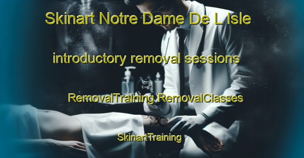 Skinart Notre Dame De L Isle introductory removal sessions | #RemovalTraining #RemovalClasses #SkinartTraining-France