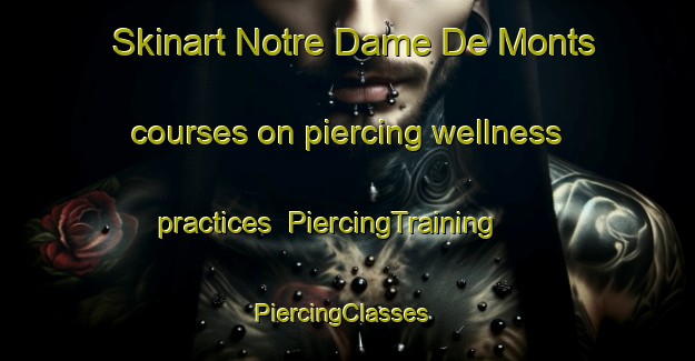 Skinart Notre Dame De Monts courses on piercing wellness practices | PiercingTraining | PiercingClasses | SkinartTraining-France
