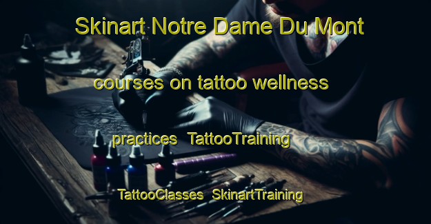 Skinart Notre Dame Du Mont courses on tattoo wellness practices | TattooTraining | TattooClasses | SkinartTraining-France
