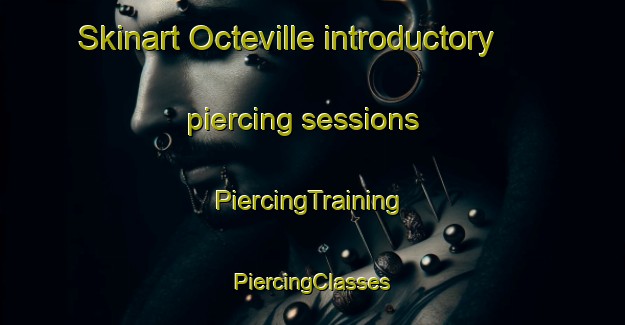 Skinart Octeville introductory piercing sessions | #PiercingTraining #PiercingClasses #SkinartTraining-France