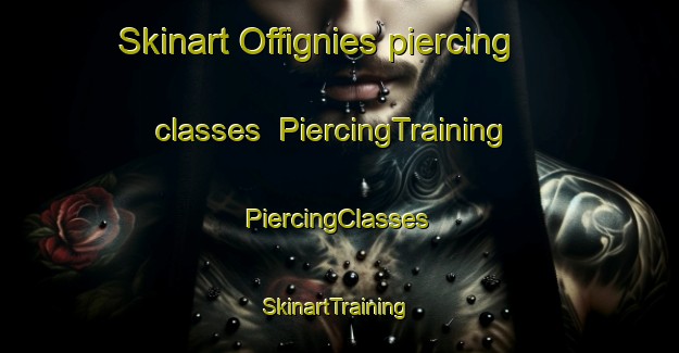 Skinart Offignies piercing classes | #PiercingTraining #PiercingClasses #SkinartTraining-France