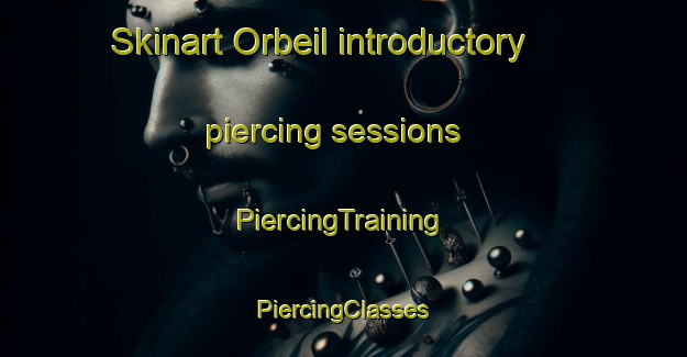 Skinart Orbeil introductory piercing sessions | #PiercingTraining #PiercingClasses #SkinartTraining-France