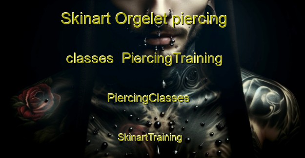 Skinart Orgelet piercing classes | PiercingTraining | PiercingClasses | SkinartTraining-France