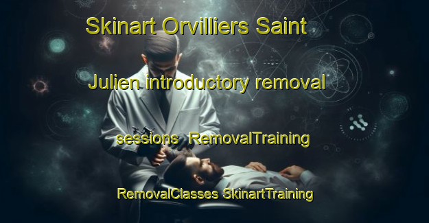 Skinart Orvilliers Saint Julien introductory removal sessions | #RemovalTraining #RemovalClasses #SkinartTraining-France