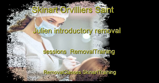 Skinart Orvilliers Saint Julien introductory removal sessions | #RemovalTraining #RemovalClasses #SkinartTraining-France