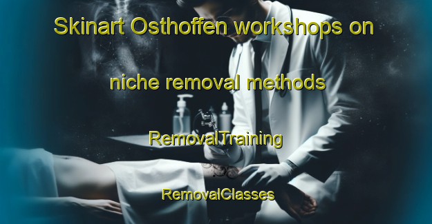 Skinart Osthoffen workshops on niche removal methods | RemovalTraining | RemovalClasses | SkinartTraining-France