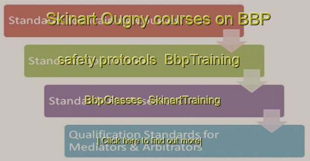 Skinart Ougny courses on BBP safety protocols | BbpTraining | BbpClasses | SkinartTraining-France