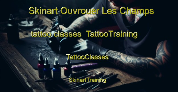 Skinart Ouvrouer Les Champs tattoo classes | TattooTraining | TattooClasses | SkinartTraining-France